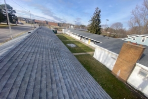 professional roofers