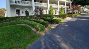 cleaning roofing specialists